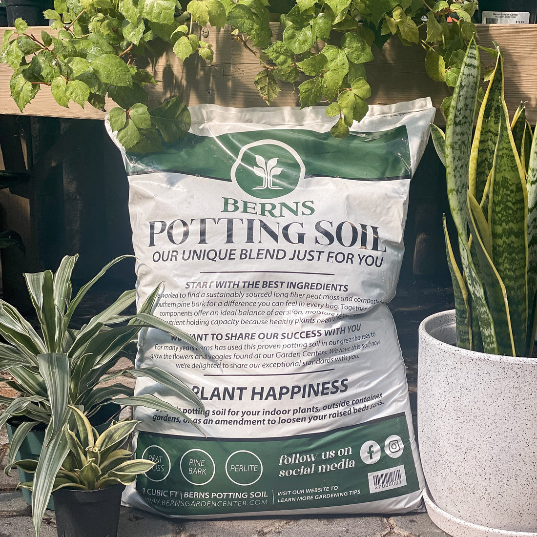 Houseplant Potting Soil