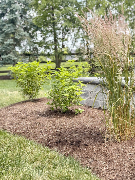 The Secret to a Stunning Spring Yard: Why Edging, Mulching & Trimming Matter