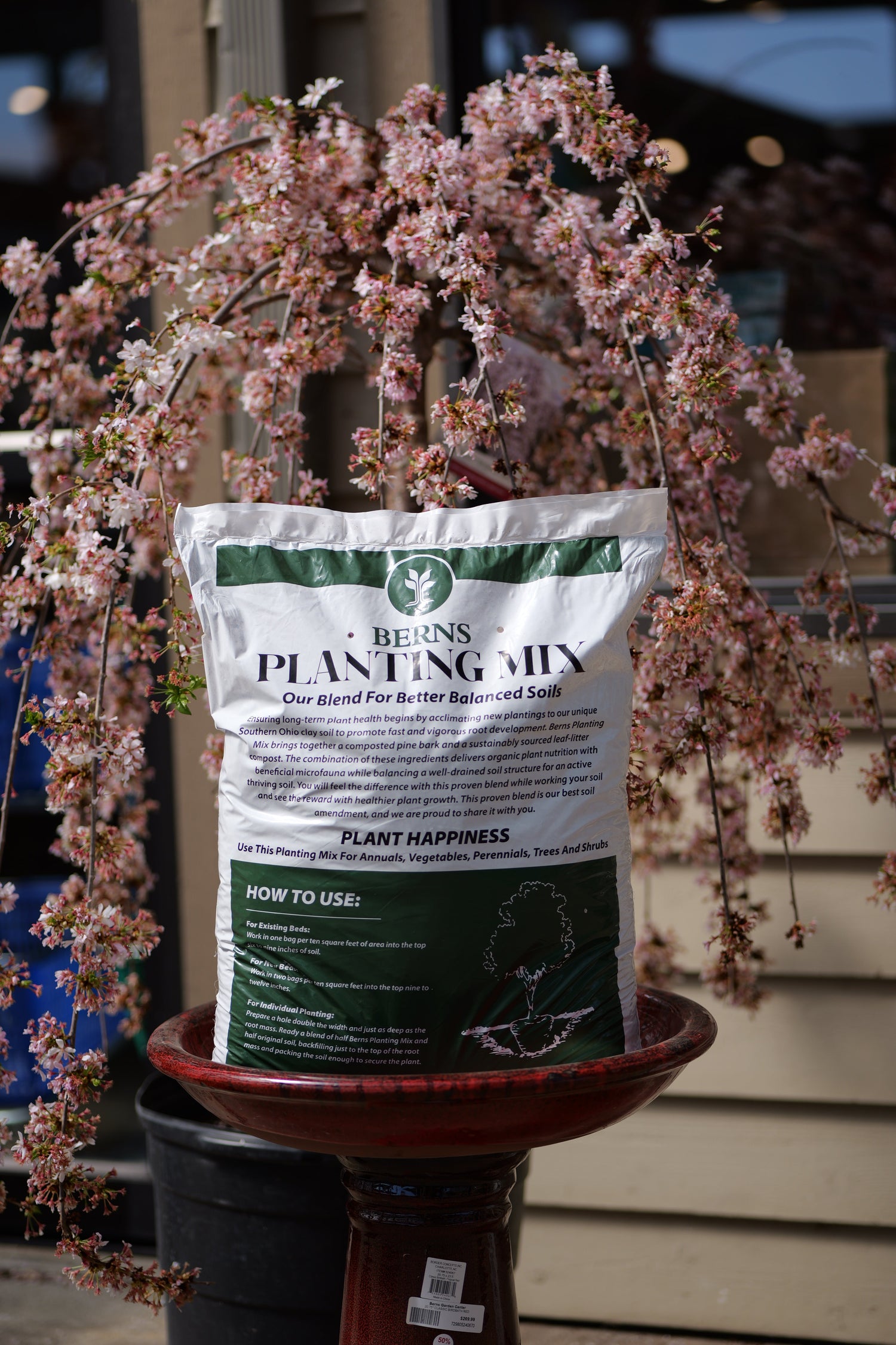 Berns Potting Soil