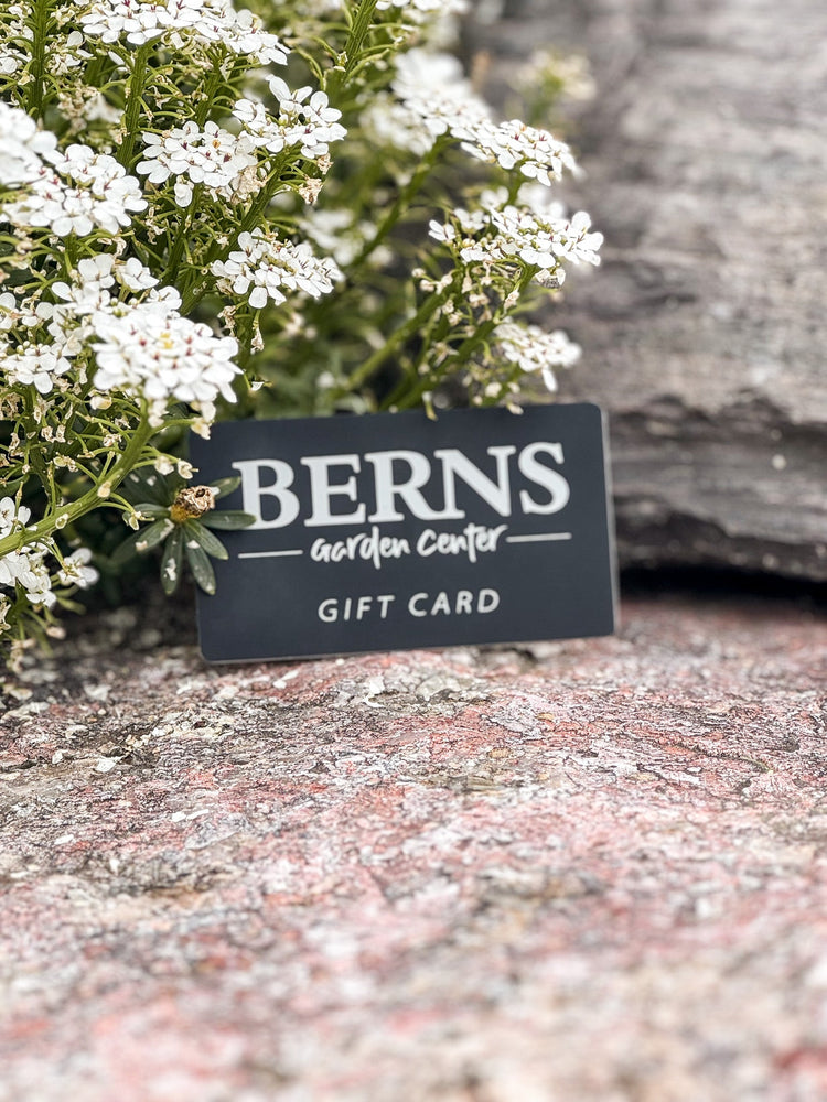 Berns Gift Card in Flowers