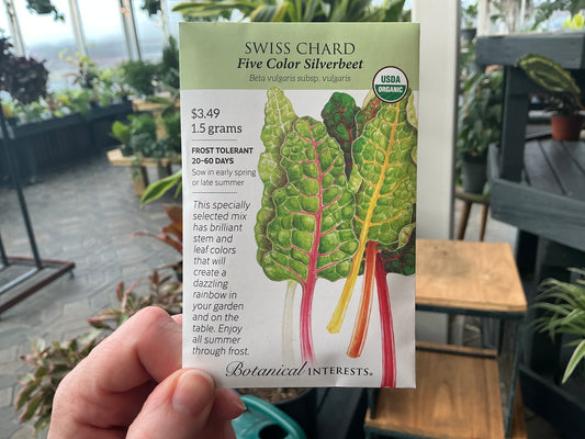 Beta | Swiss Chard Organic Seed