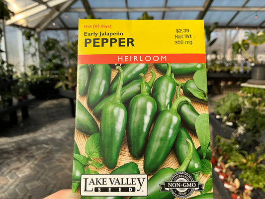 Capsicum | Hot - Pepper Organic Seed