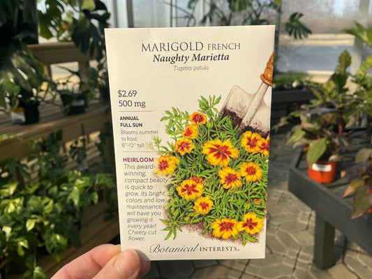 Tagetes | French - Marigold Seed