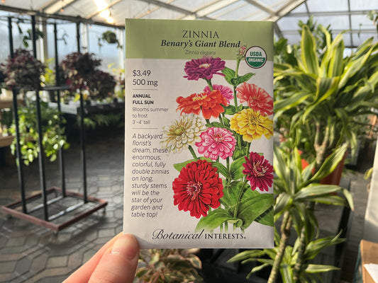 Zinnia | Zinnia Organic Seed