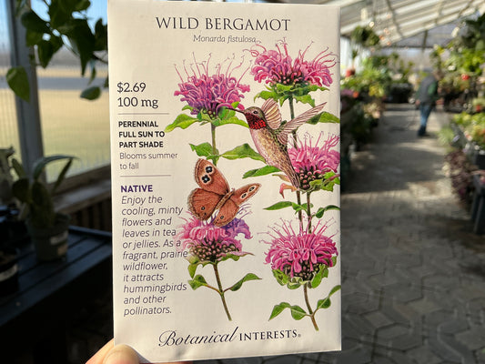 Monarda | Wild Bergamont Organic Seed