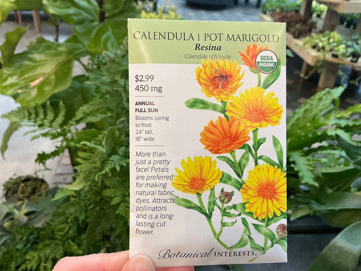 Calendula | Pot Marigold Organic Seed