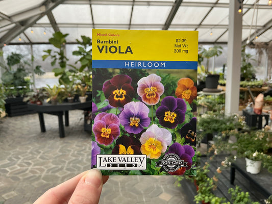 Viola | Viola Seed