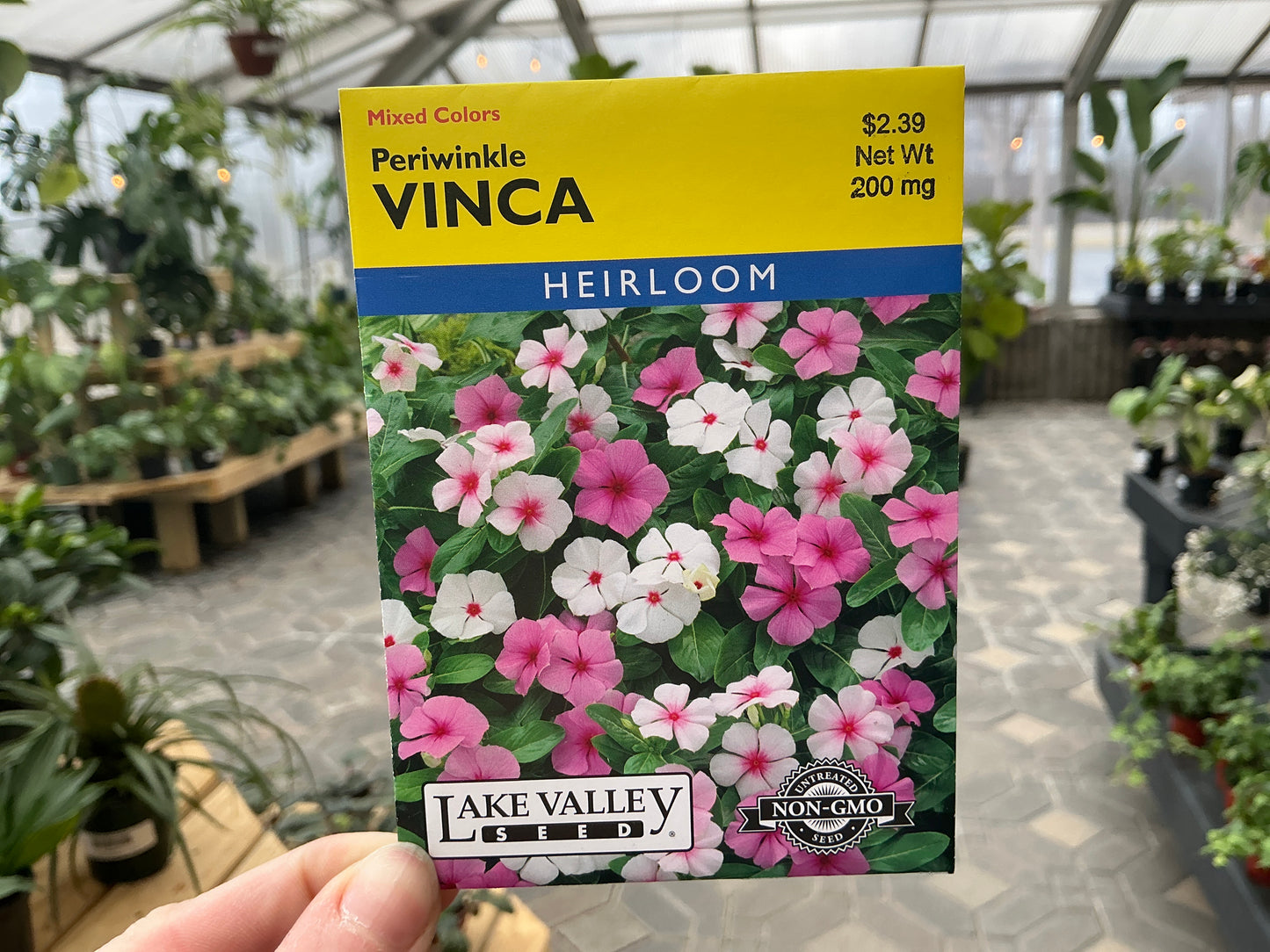 Vinca | Vinca Seed