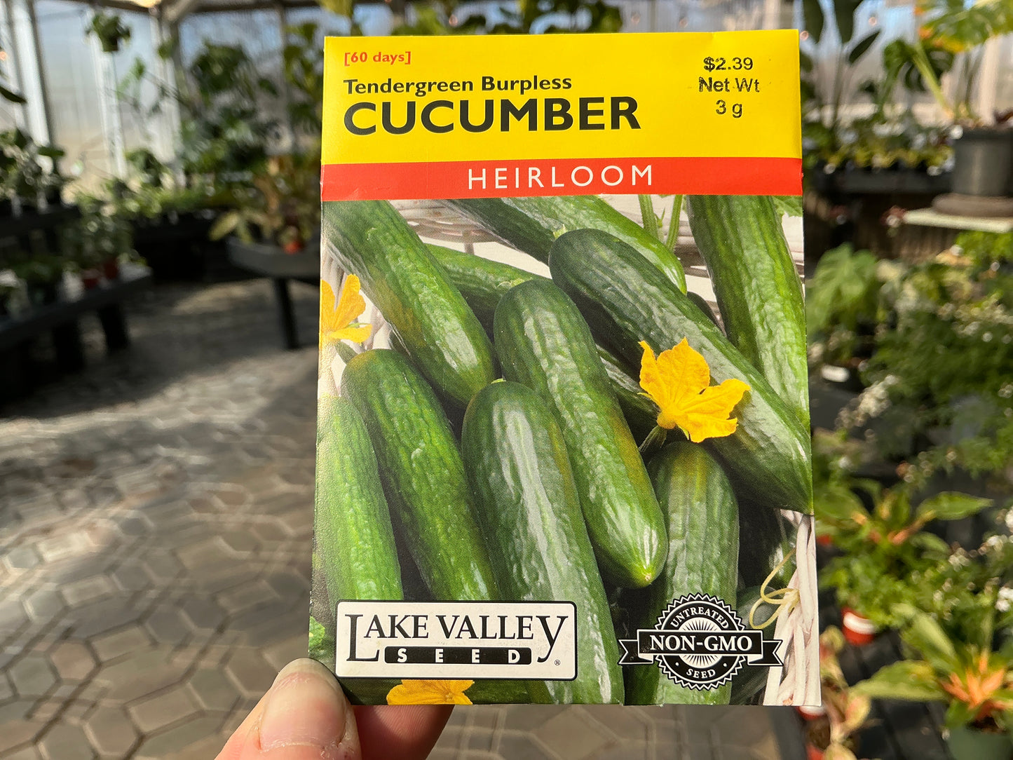 Cucumis | Burpless - Cucumber Organic Seed