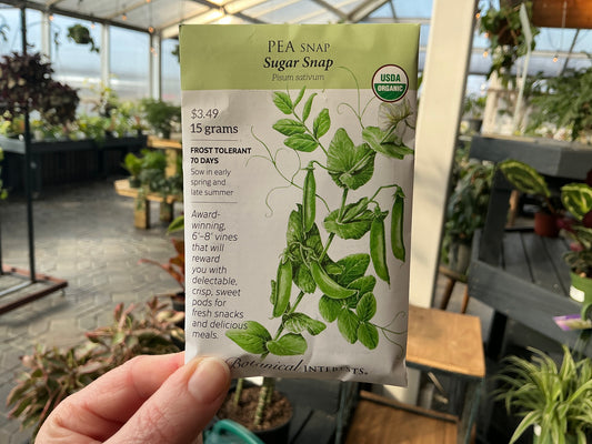 Pisum | Snap - Pea Organic Seed