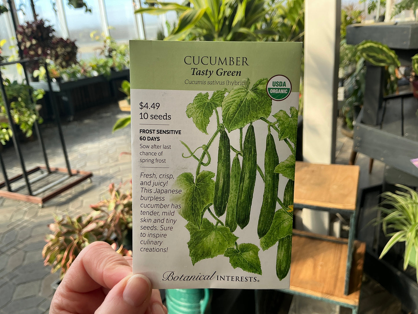 Cucumis | Cucumber Organic Seed