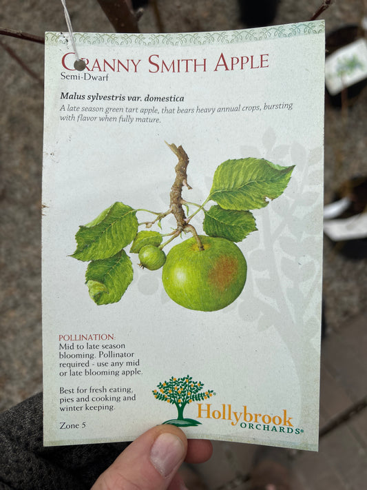 Malus | Granny Smith Apple