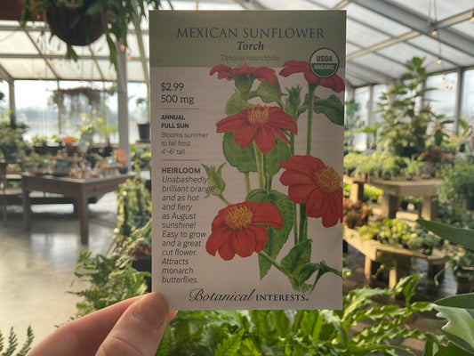 Tithonia | Mexican Sunflower Organic Seed