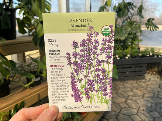 Lavundula | Lavender Organic Seed