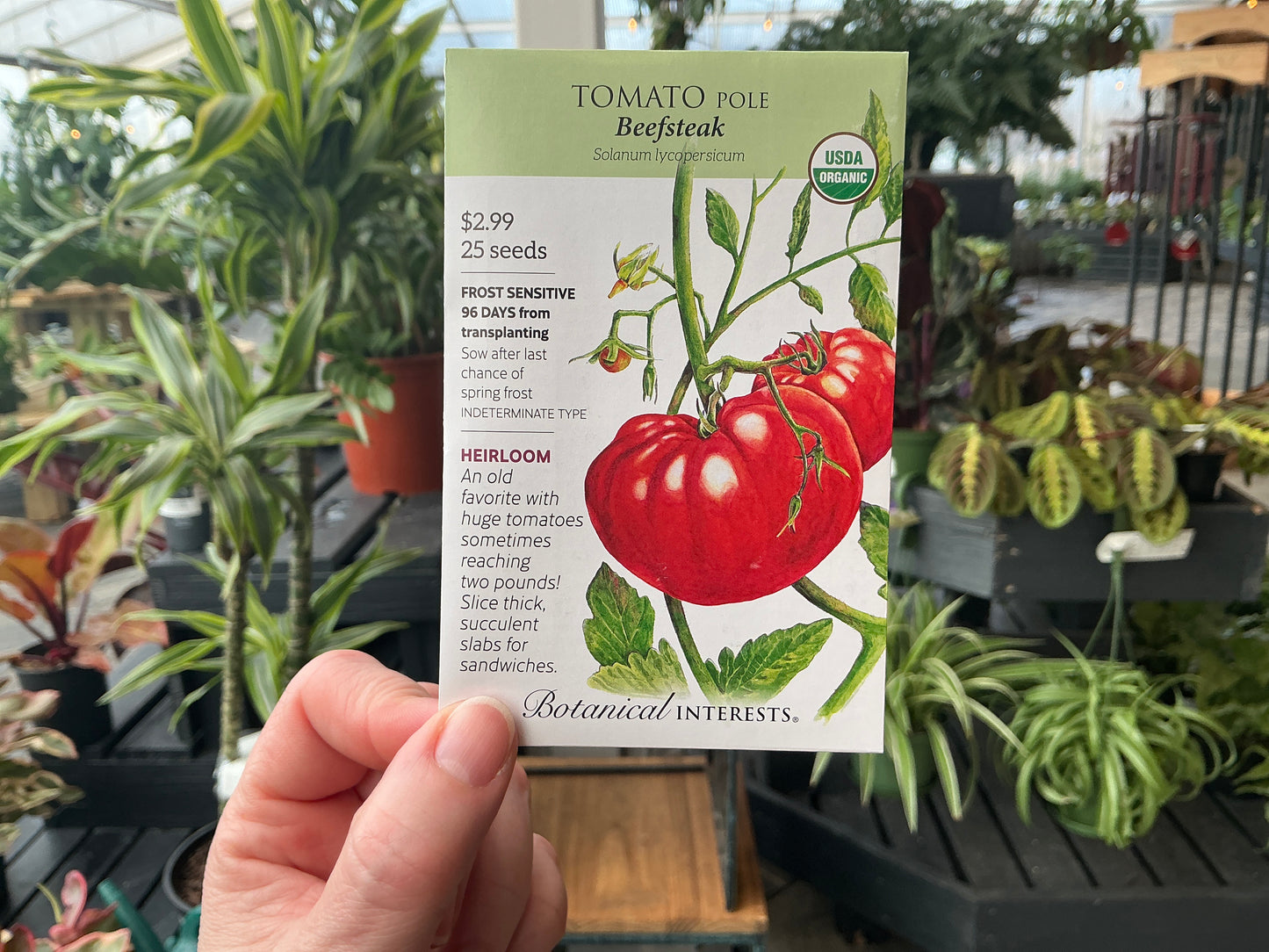 Solanum | Pole - Tomato Organic Seed