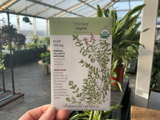 Thymus | Thyme Organic Seed