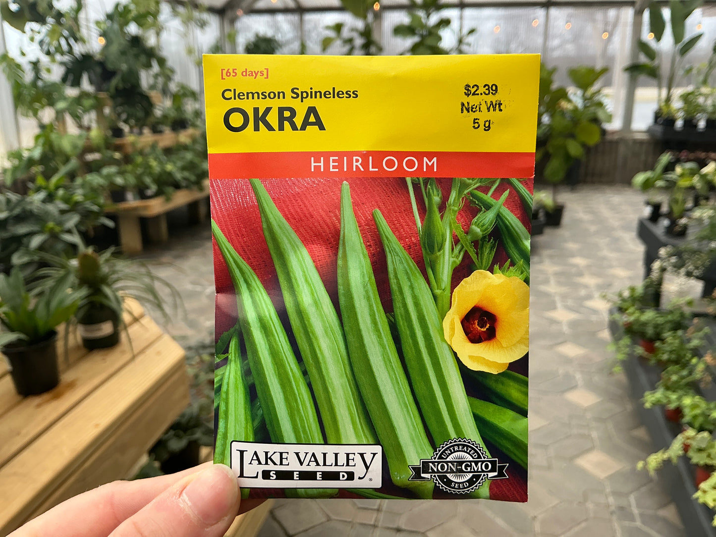 Abelmoschus | Okra Seed