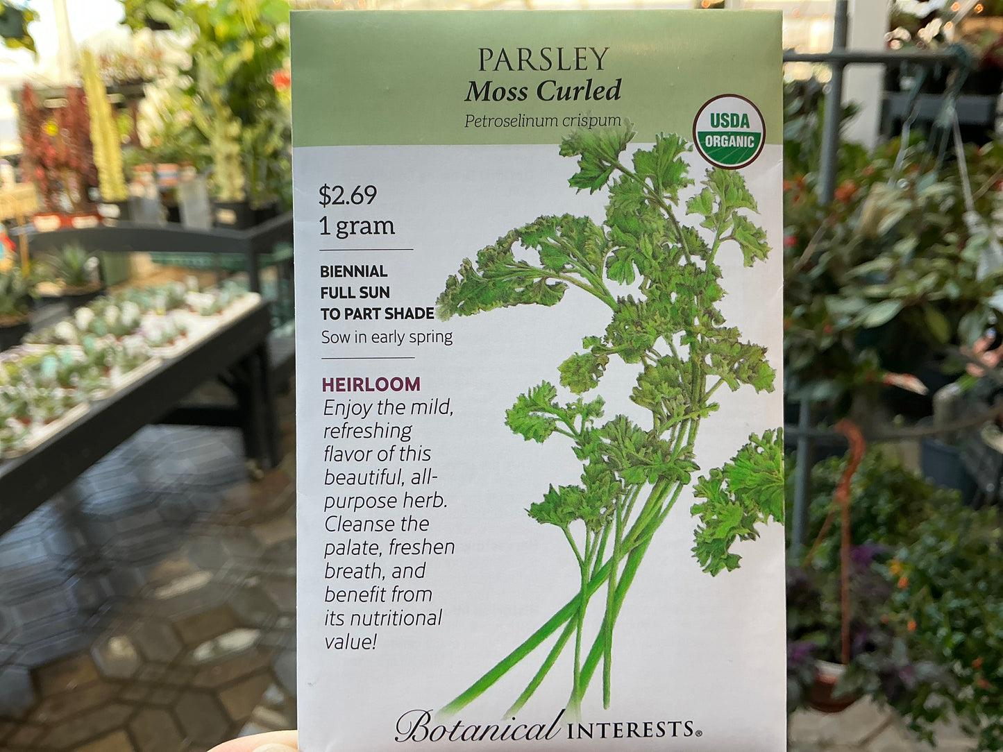 Petroselinum | Parsley Organic Seed