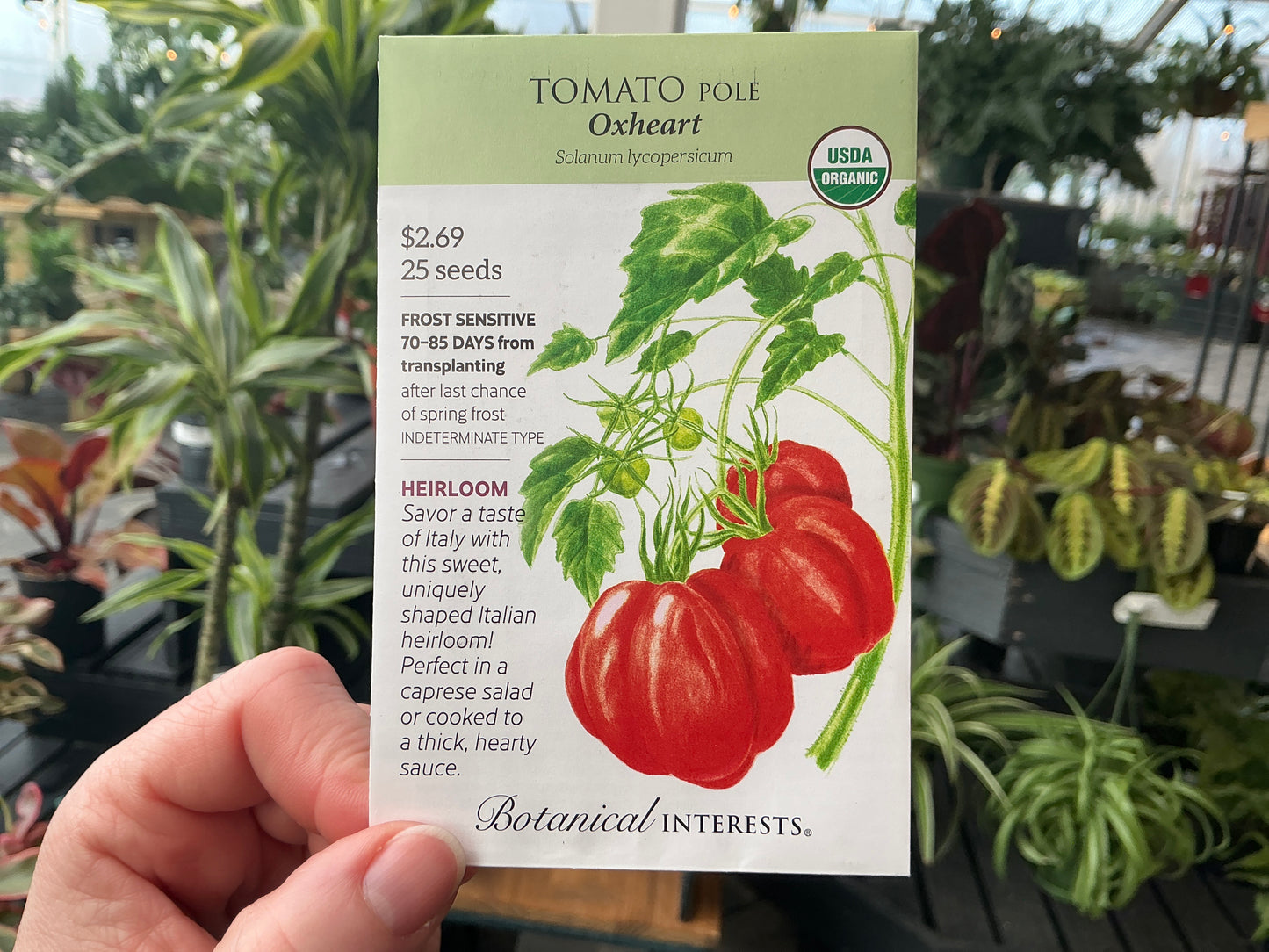 Solanum | Pole - Tomato Organic Seed