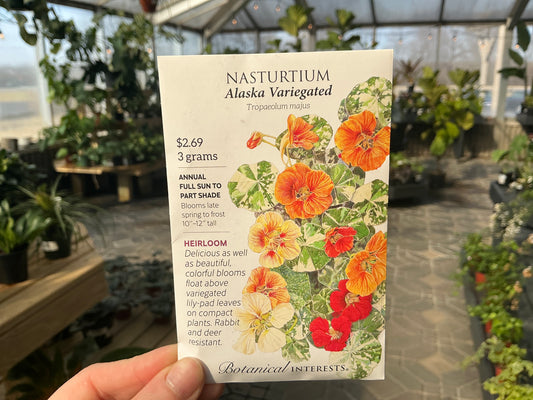 Tropaeolum | Nasturtium Seed