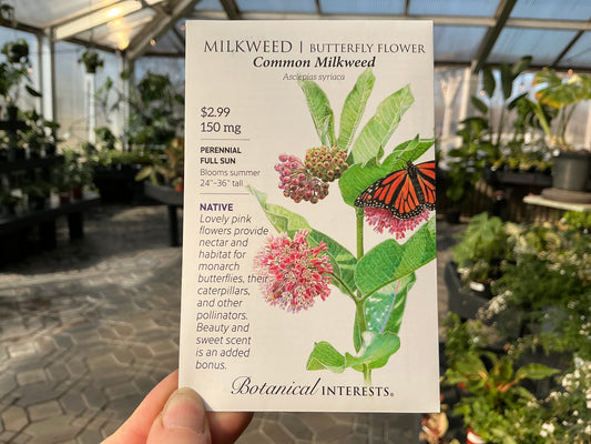 Asclepias | Milkweed Organic Seed