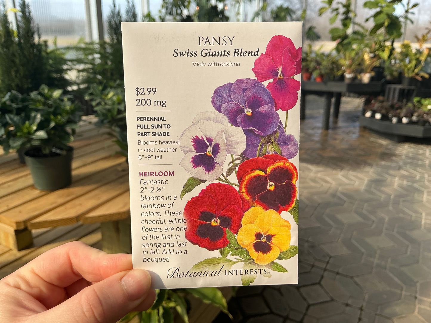 Viola | Pansy Seed