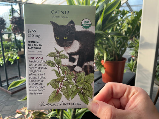 Nepeta | Catnip Organic Seed