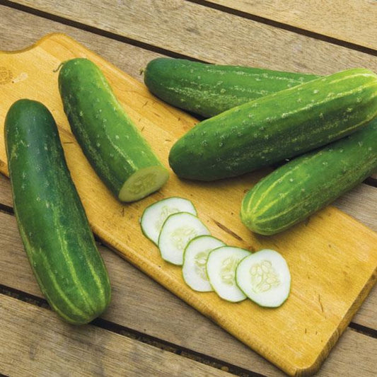 Cucumis  | Cucumber