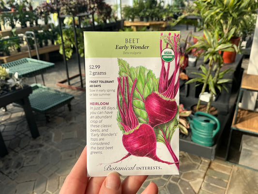 Beta | Beet Organic Seed