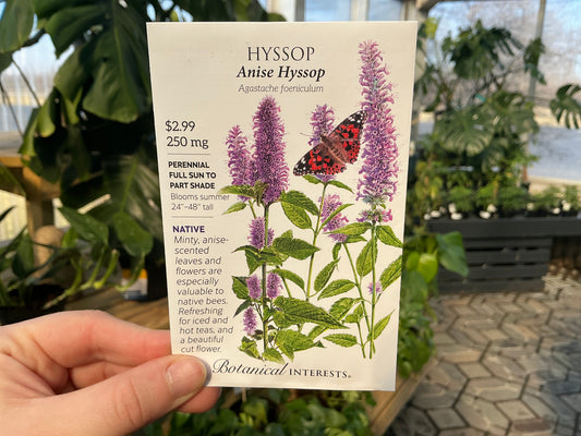 Agastache | Hyssop Organic Seed