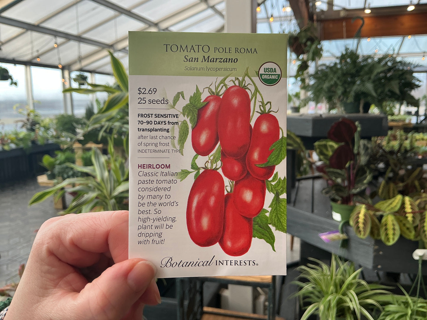 Solanum | Pole - Roma - Tomato Organic Seed