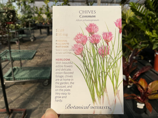 Allium | Chives Organic Seed