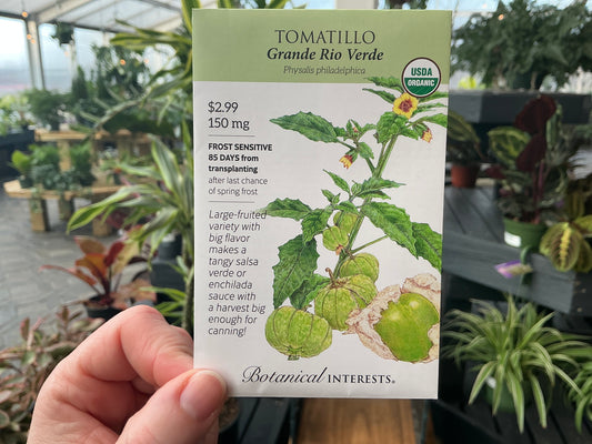 Physalis | Tomatillo Organic Seed