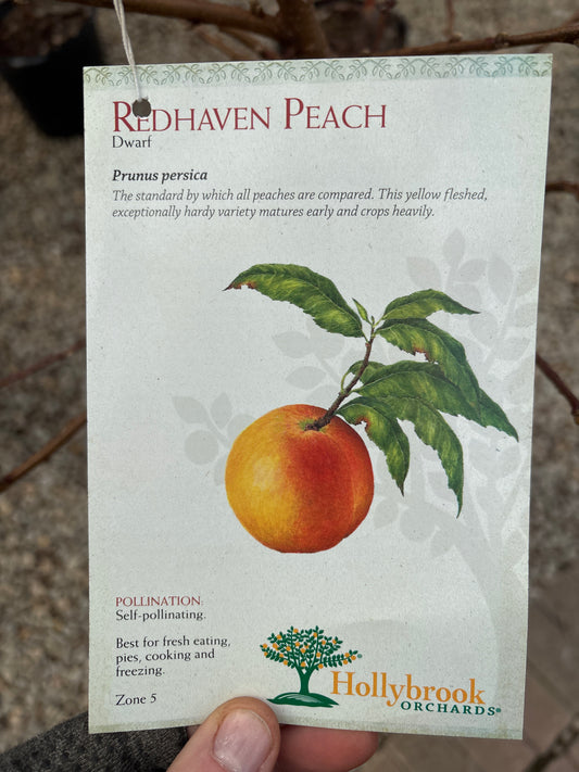 Prunus | Redhaven Peach