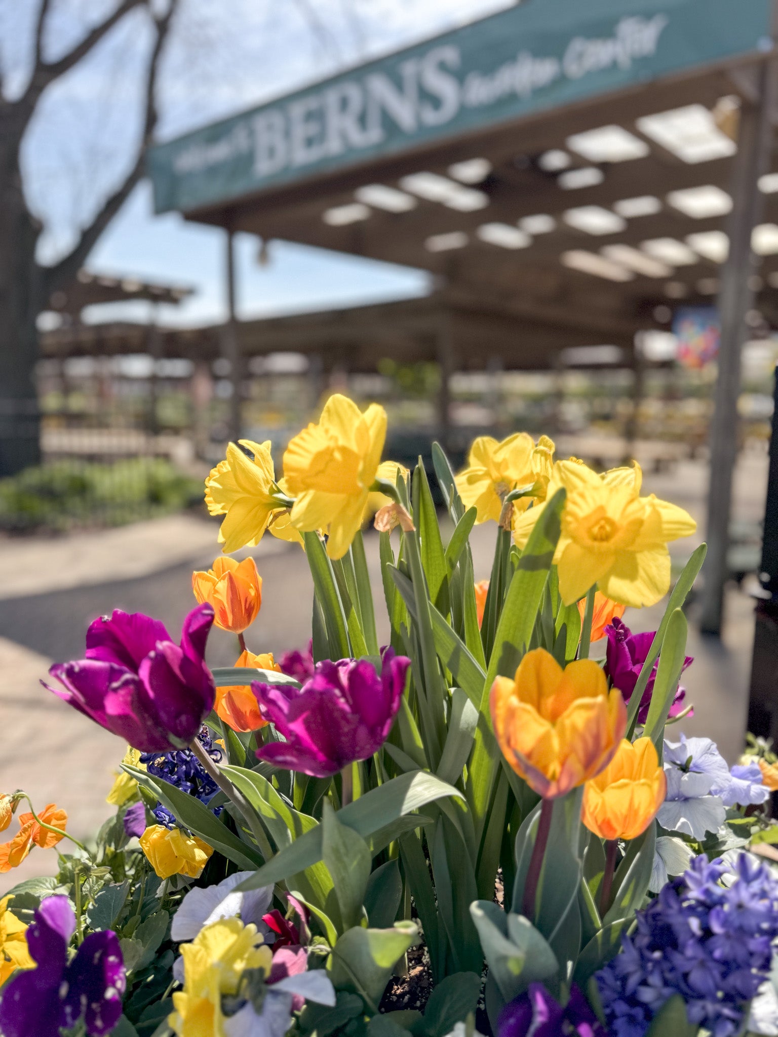 Middletown Garden Center