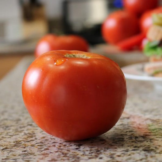 Solanum | Slicer Tomato