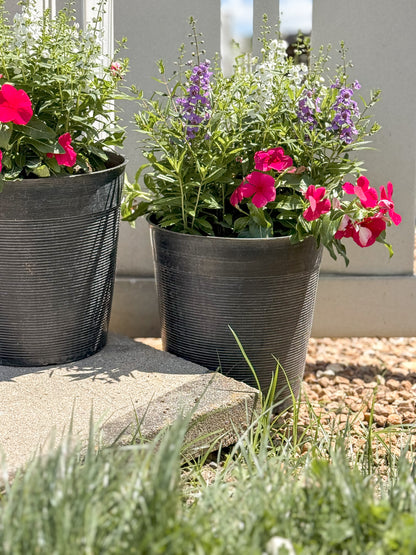 Angelonia | $20 Patio Pot Combination